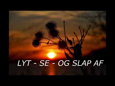 LYT - SE OG SLAP AF - Listen - See and relax