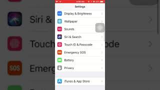 FaceID in Iphone 5s (How to activate FaceID)