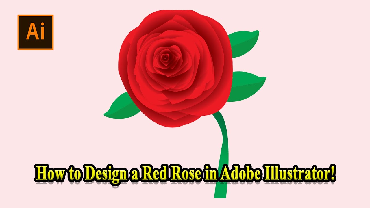 A Red Rose in Adobe Illustrator – Full Vector Art Tutorial