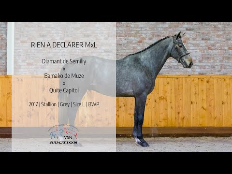 22 Rien a Declarer MxL (v.Diamant de Semilly x Bamako de Muze)