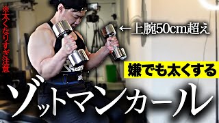 【腕をぶっとくする】ゾットマンカールを紹介します。