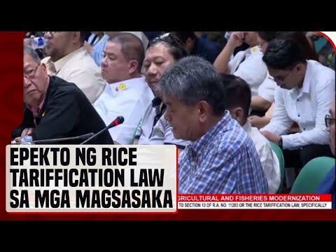 Epekto ng rice tariffication law sa mga magsasaka