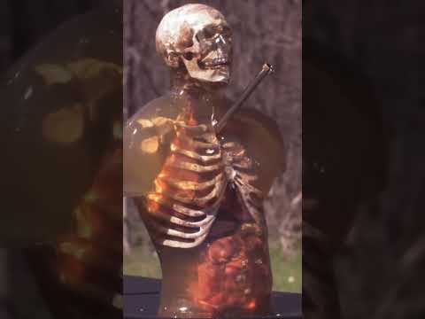 Kentucky Ballistics: How Lethal are these Harpoon tips?!  #experiment #slowmotion #kentucky