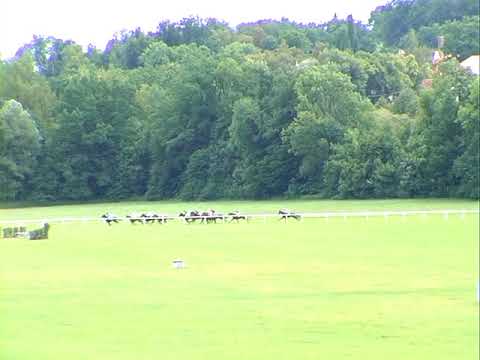 NE, 20. 8. 2017, 2. dostih - CENA ŠINDELÁŘ SPEDITION s.r.o.