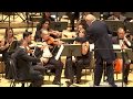 Ludwig van Beethoven - II. Allegretto from Symphony No. 7 in A Major Op. 92