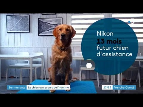 Nikon et Fred dans le JT 12/13 de France 3 Bourgogne-Franche-Comté