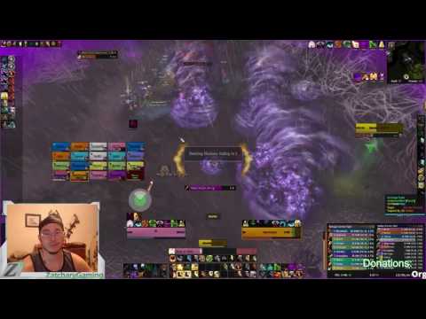 Mythic Emerald Nightmare - Elerethe Renferal - Holy Paladin POV (Indestructible - Kel'thuzad)