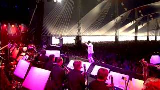 Serj Tankian - Lie Lie Lie live {Lowlands Festival 2010} (HD/DVD Quality)