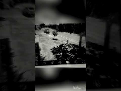 ATROPELAMENTO EM SÃO LUIZ DO NORTE: Mulher, supostamente sem habilitação, causa acidente grave