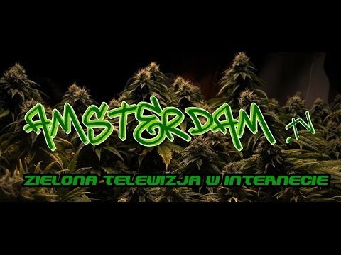 Hds feat.Sobota - Smak zwycięstwa (official video) AMSTERDAM.TV !