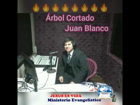 Árbol Cortado Juan Blanco