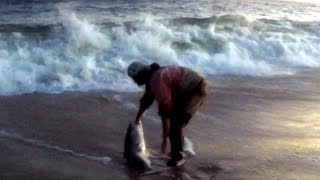 Long Island Surf Fishing RIDE OF THE VALKYRIES Jones Beach & Wagner 2016