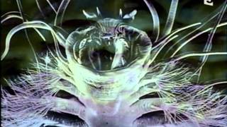 Download lagu Aux Frontières De La Sciences - Aux Confins De L'univers mp3 Download lagu Aux Frontières De La Sciences - Aux Confins De L'univers mp3