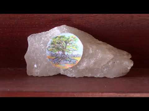 37 2018  Establecimiento Los Ombues Colonia America 1