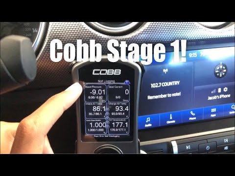 2019 Mustang EcoBoost Cobb Tune Review!
