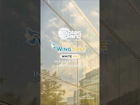 Solar Gard Wing Safe White Dots Bird Film thumbnail