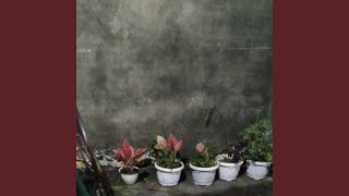 Download lagu Sungguh luar biasa ciptaan Allah mp3