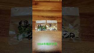 和綿 #shorts