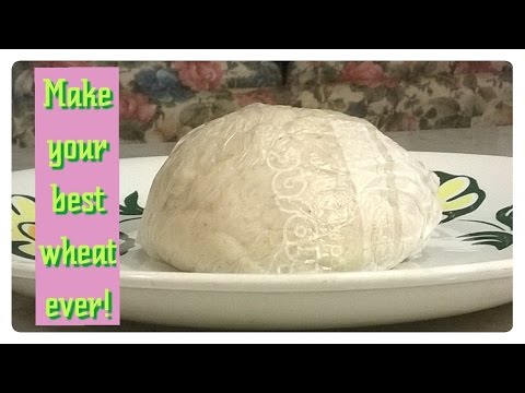 download lagu mp3 mp4 Soft Wheat Semolina, download lagu Soft Wheat Semolina gratis, unduh video klip Soft Wheat Semolina