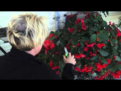 Ruth's Journey with Depression