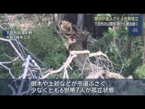 YouTube Video 倒木が市道をふさぎ６世帯７人が孤立状態　停電を調査していた東京電力の担当者が発見　静岡・下田市　