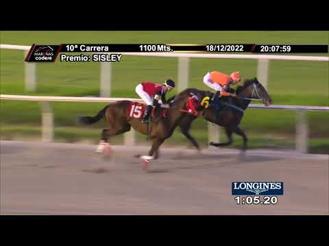 221218 c10 BIG QUEEN