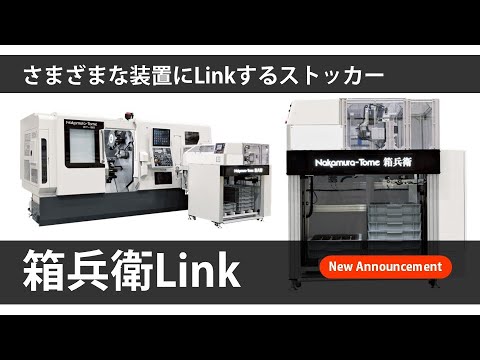 ブキュラトリックス sp.