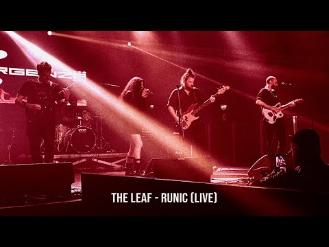 video frame placeholder