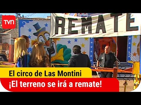 ¡El terreno se irá a remate! | El circo de Las Montini - T1E8