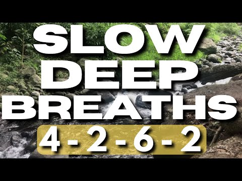 Slow Deep Breathing Exercise for Stress (4-2-6-2)
