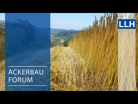 Ackerbauforum - Hanf, eine alte Kultur im modernen Ackerbau (Teil 2)