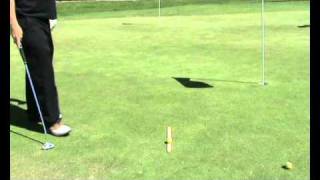 Aim Mate - Read the Green