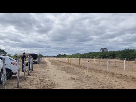 III GP BAHIA FUTURITY - CLASSIFICATÓRIAS