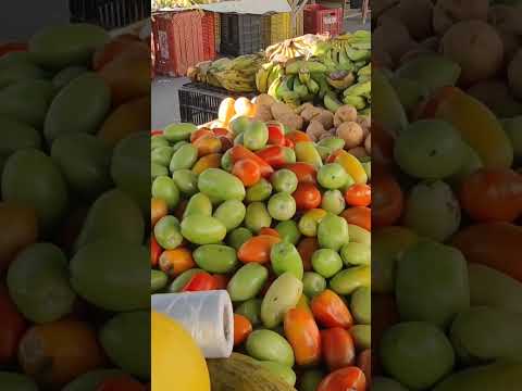 feira de rua em Minador do Negrão Alagoas