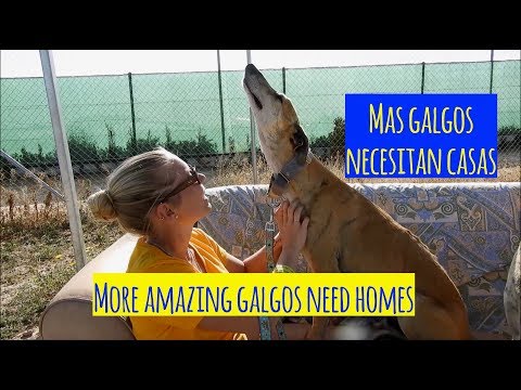 FROOME & PRISCA are waiting to come into your lives!