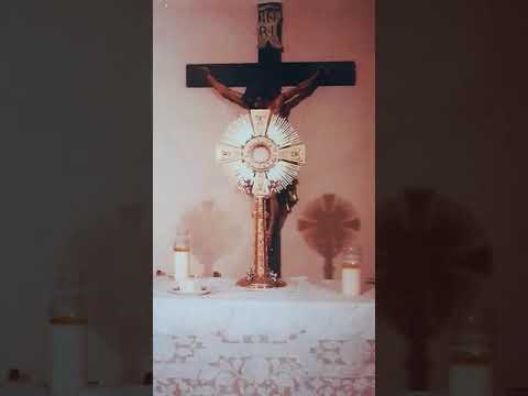 III ora: dalle 7 alle 8 della sera- la Cena Legale