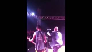 Ratos de Porão - Vida Animal