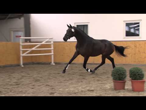 25 Desperados Tambour 2