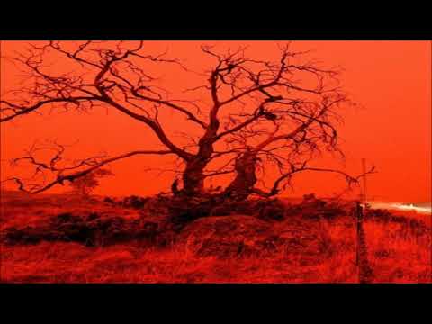 Yttrium - Scorched Earth Policy