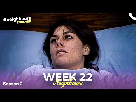 Week 22 | Episodes 276-280 | Neighbours 1986 (Season 2)