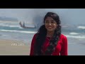 Adi Poonguyile Poonguyile Kelu Status