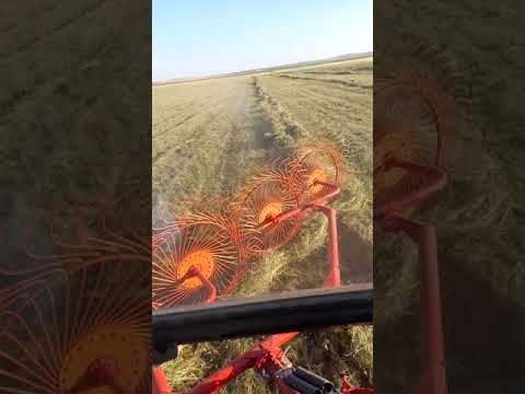 Грабли ворошилки 5ти колесные от Харвест