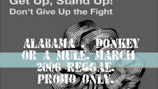 ALABAMA- DONKEY OR A MULE-MARCH 2016-REGGAE-PROMO ONLY!