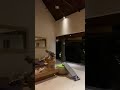 Janji