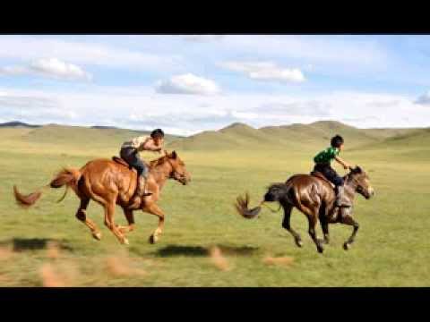 salhin zeerd  Batbayar