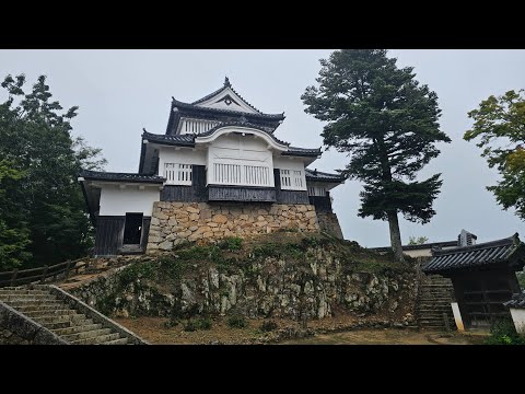 フランスの庭園にはどの植物が適していますか?プロヴァンスの小さな城のような空間を作るための 5 つ以上のアイデア  庭園