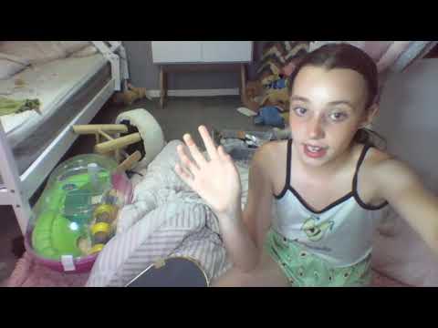 Yandex video arama