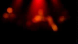 Frank Boeijen - Halle 2012 (5)