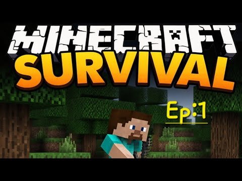 Starting a new journey minecraft survival series:)