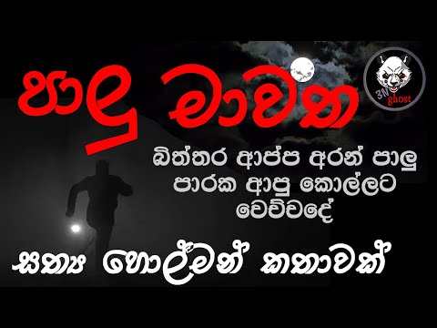 පාලු මාවත | Holman katha | 3N Ghost | Sinhala holman katha | Sinhala ghost story Episode 131